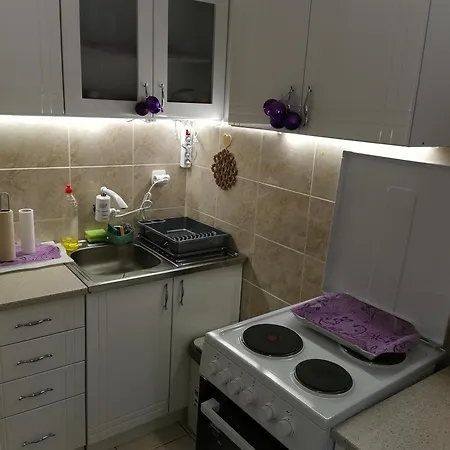 Lola Banja Vrujci, Berkovac Apartment Gornja Toplica